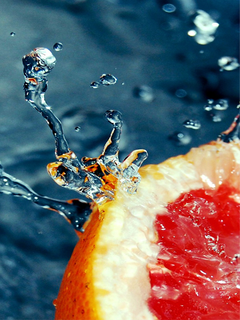 oboi_nokia_5800_pririda_frukty_cvety_wallpapers_nature_fruits_flovers_5800-5.png
